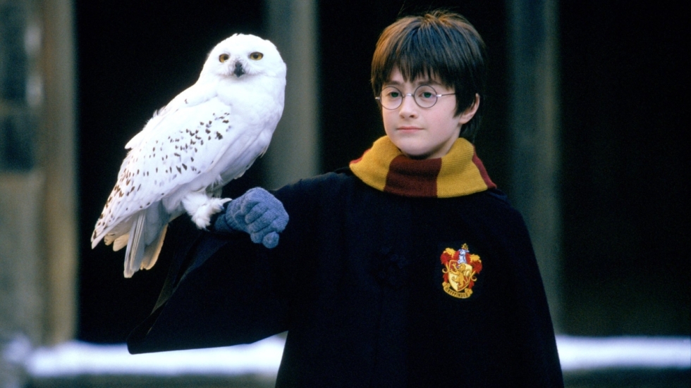 Alweer kritiek op nieuwe Harry Potter-hoofdrolspeler: "Is dit serieus?"