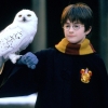 Harry Potter and the Philosopher's Stone