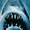Jaws