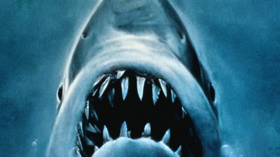 Opmerkelijk detail over de haai op de 'Jaws'-poster: Hij blijkt niet te zijn wie hij zou moeten zijn