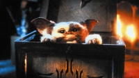 Officieel: Warner Bros. geeft 'Gremlins' dan toch een derde film!