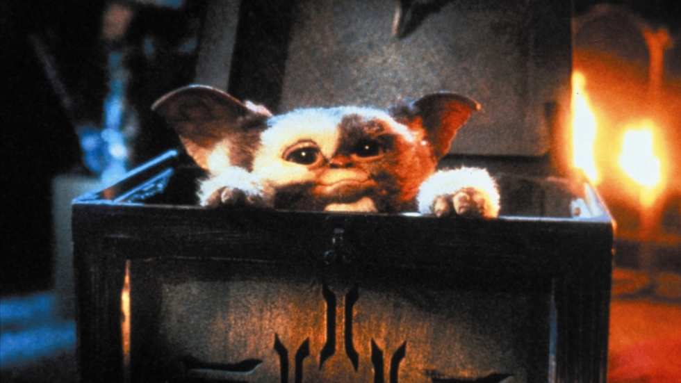 Niemand had dit ooit verwacht: 'Gremlins 3' in handen van bedenker en wacht op akkoord