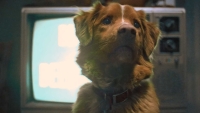 Nederlandse remake van 'Turner & Hooch' met een "drastische wending"