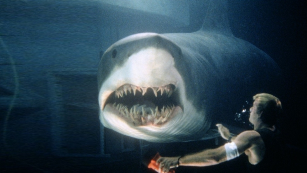 Releasedatum voor nieuwe haaienthriller van Renny Harlin (Deep Blue Sea)