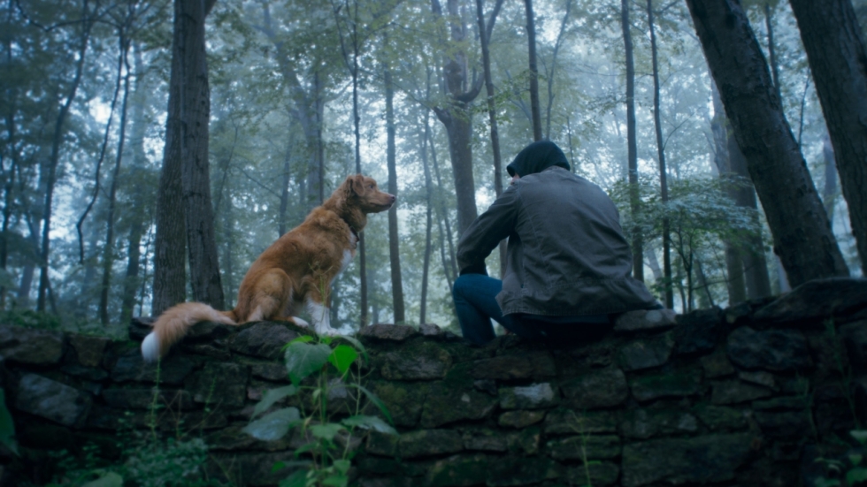 Eerste recensies voor thriller 'Good Boy': "visueel indrukwekkend, emotioneel verwoestend"