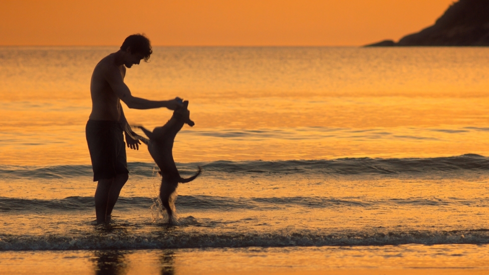 'Caramelo': melodrama zoals melodrama bedoeld is