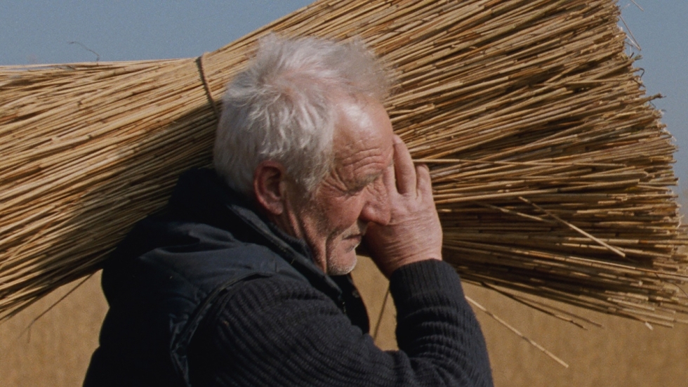 'Rietland': de plaats delict als personage