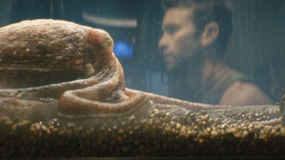 Ongelooflijk, maar waar: 'The Boys' komt met écht 'speeltje' gebaseerd op de octopus Ambrosius (!)