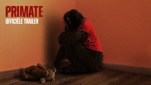 Primate