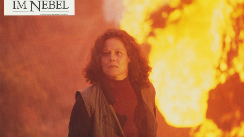 In 1988 was de film over het leven van deze heldin een enorme hit, haar dood blijft een mysterie