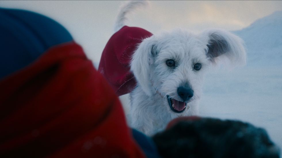'Superman'-regisseur heeft helemaal genoeg van kritiek: "Hou toch op!"