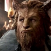 Beauty and the Beast