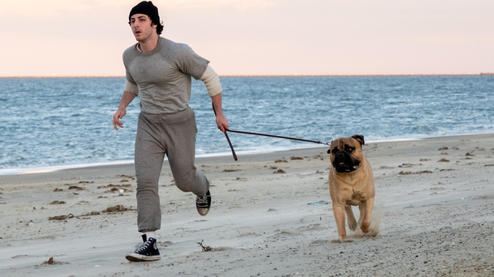 Sylvester Stallone-biopic 'I Play Rocky' komt op een wel heel speciaal moment uit