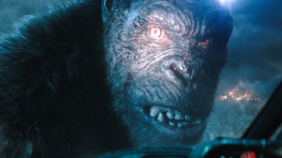 Het vervolg in het grote MonsterVerse: hoe sluit deze aan op de eerdere films?