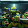 Teenage Mutant Ninja Turtles: The Last Ronin