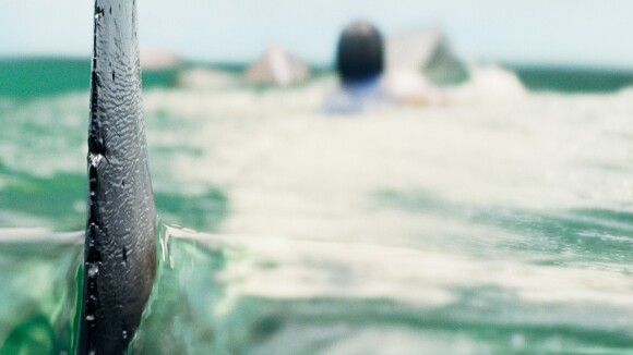 Gecrashte Aaron Eckhardt vs haaien in trailer 'Deep Water'