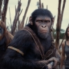 Hoe zit het nu eigenlijk met de volgende 'Planet of the Apes'-film?