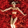 American Beauty