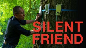 Silent Friend (2025) video/trailer