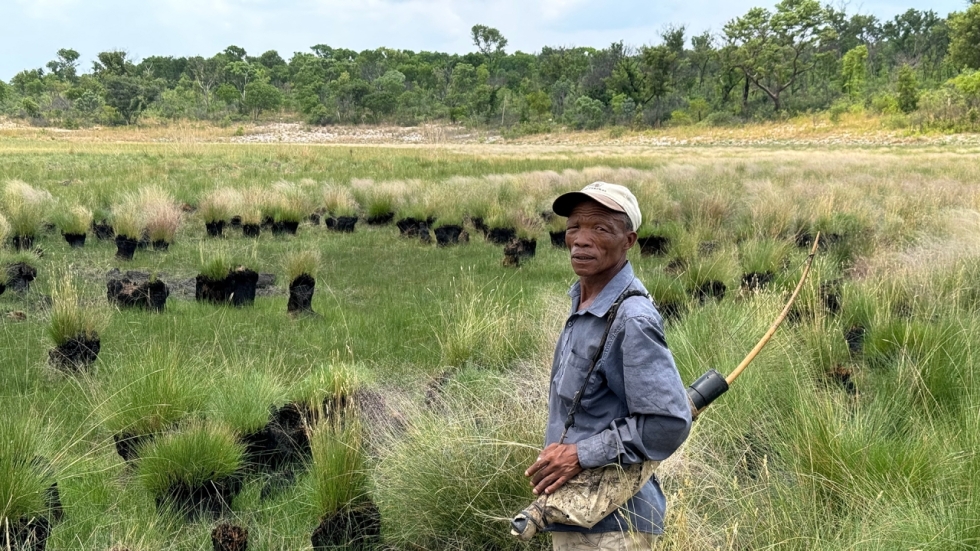 'Ghost Elephants': mythe of werkelijkheid in Werner Herzogs zoektocht naar spookolifanten?