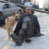 Untitled I Am Legend Sequel