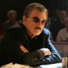 The Last Movie Star
