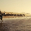 The Odyssey
