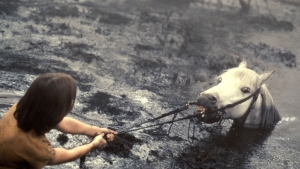 The NeverEnding Story