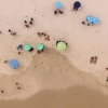 Na het kijken van deze belachelijk vermakelijke trailer voor 'Shark Trash' heb je de film al helemaal gezien