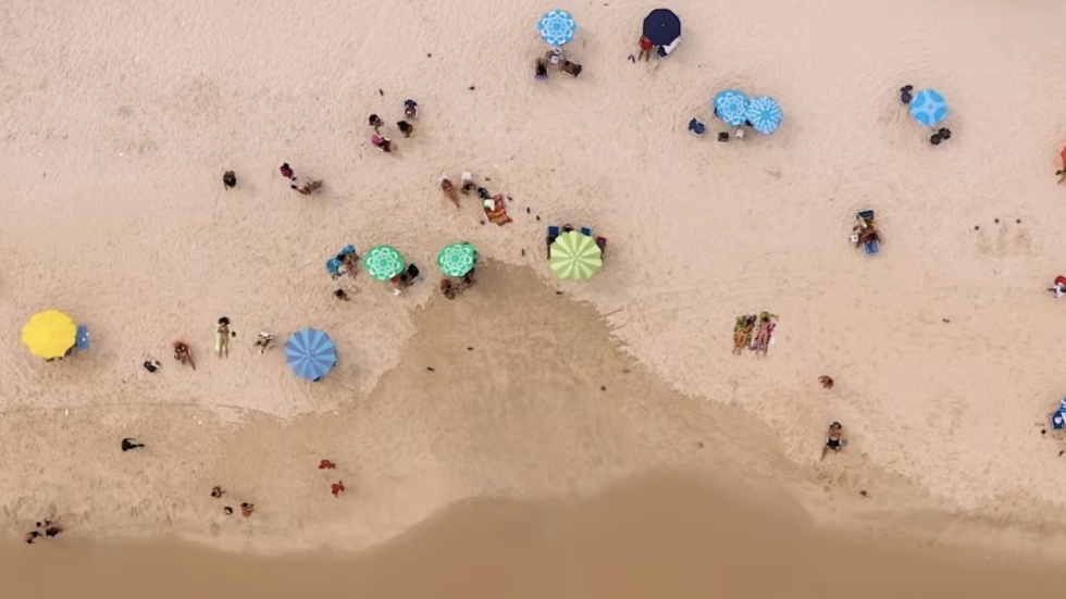 Na het kijken van de belachelijk vermakelijke trailer voor 'Shark Trash' heb je de film al helemaal gezien