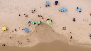 Na het kijken van de belachelijk vermakelijke trailer voor 'Shark Trash' heb je de film al helemaal gezien