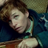 Fantastic Beasts and Where to Find Them