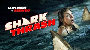 Shark Thrash