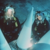 The Abyss
