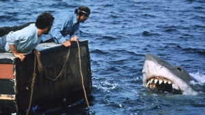 Jaws