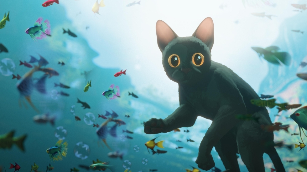 Niets te doen tijdens Tweede Pinksterdag? Zet je TV aan om 15:35 uur en kijk naar de veelgeprezen animatiefilm 'Flow'