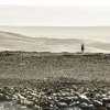 The Dark Tower