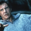 The Fugitive