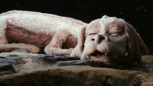 The NeverEnding Story