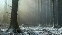 Gruwelijke trailer 'Werwulf' van 'Nosferatu'-regisseur laat Aaron Taylor-Johnson in zijn meest duistere rol zien