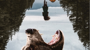 Grizzly Night