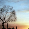 Unforgiven