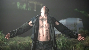 The Crow