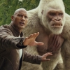 Na weer een flop lijkt ook Dwayne 'The Rock' Johnson het spoor bijster, zijn nieuwste film wordt compleet anders