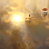 Life of Pi