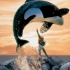 Free Willy