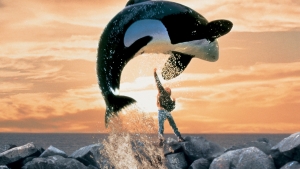 Free Willy