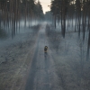 Deze voortreffelijke Netflix-serie herinnert mij eraan waarom ik mijn 'tijd' veel liever in films steek dan series