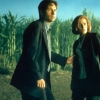 The X Files