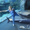 Aquarium of the Dead